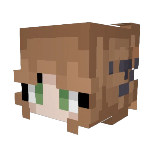 Spacekitty_35 Minecraft avatar head, 3D render