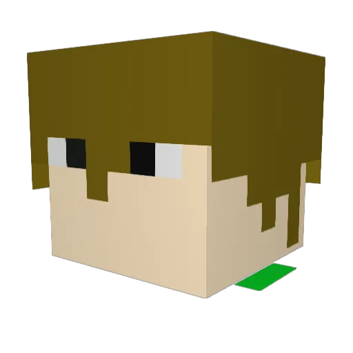 Spacelion78 Minecraft avatar head, 3D render