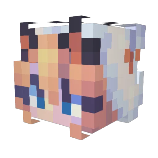 SpacerPlace Minecraft avatar head, 3D render
