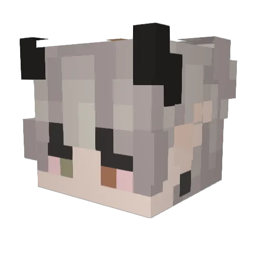 Spaceramen Minecraft avatar head, 3D render