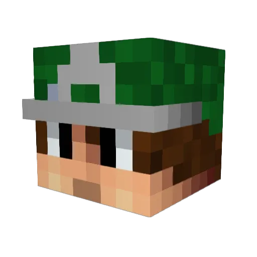 Spacerat4 Minecraft avatar head, 3D render