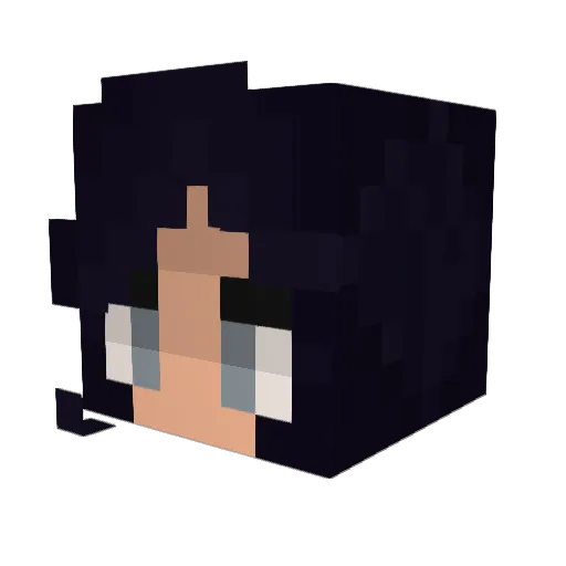 Spacetime200 Minecraft avatar head, 3D render