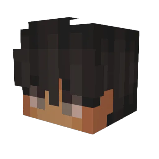 Spacetk Minecraft avatar head, 3D render