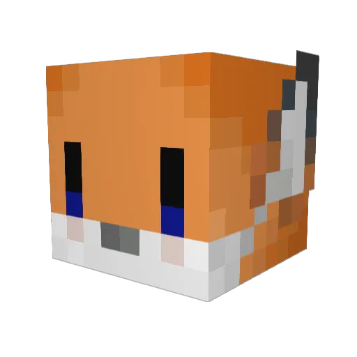 Spaceturt Minecraft avatar head, 3D render