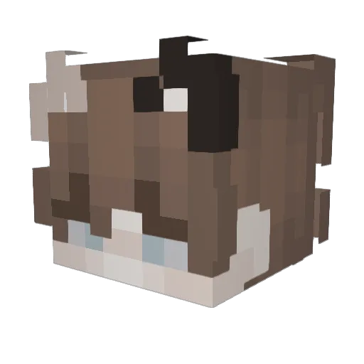 SpaceyJax Minecraft avatar head, 3D render