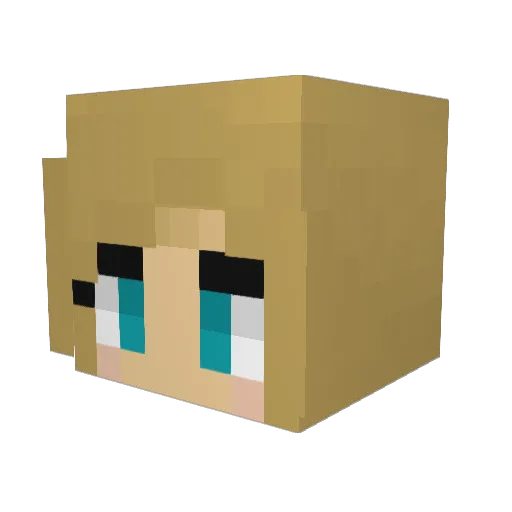 SpaceyKat_ Minecraft avatar head, 3D render