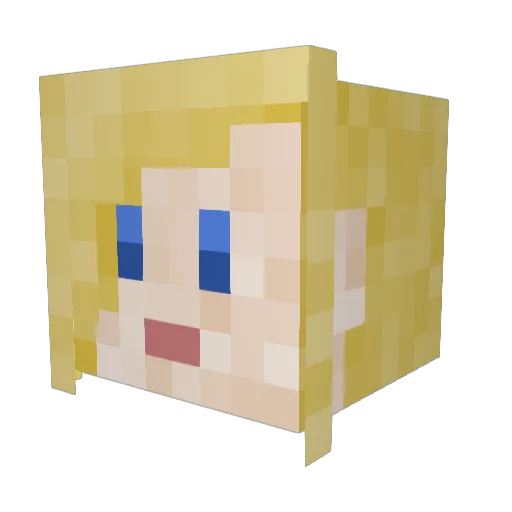 Spacingnevada Minecraft avatar head, 3D render