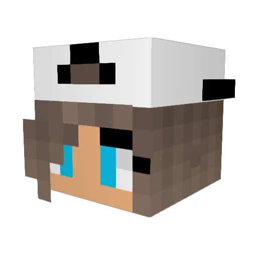 SpaciousBird Minecraft avatar head, 3D render