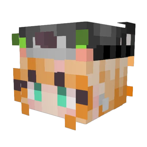 Spacy_fairy Minecraft avatar head, 3D render