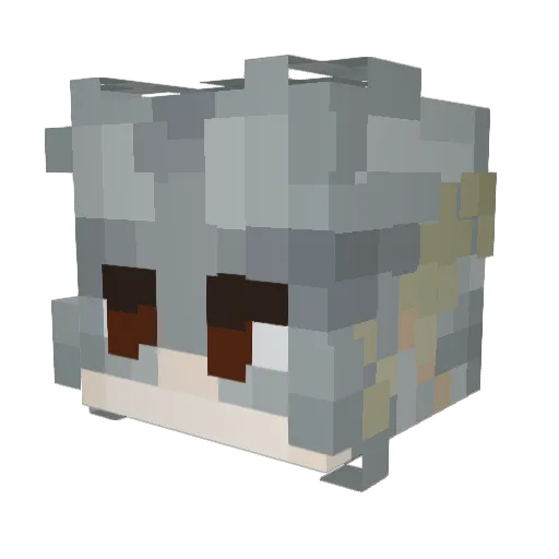 Spadasuras Minecraft avatar head, 3D render
