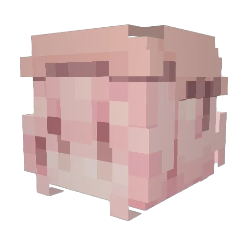 SpadedBee Minecraft avatar head, 3D render