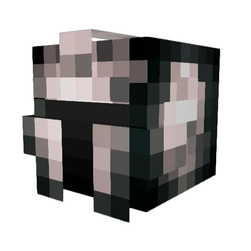 Spades12 Minecraft avatar head, 3D render