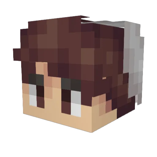 Spadiceous Minecraft avatar head, 3D render
