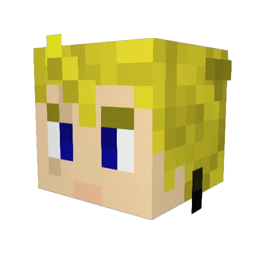 Spadsval Minecraft avatar head, 3D render