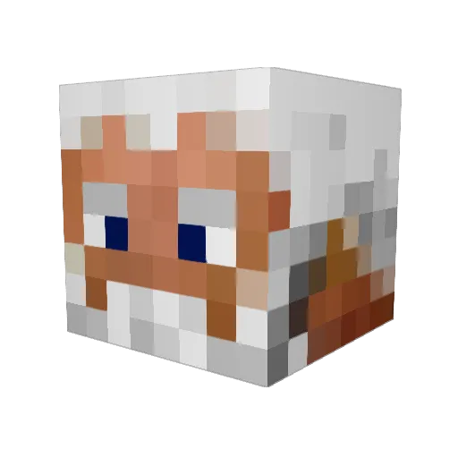 Spagball Minecraft avatar head, 3D render