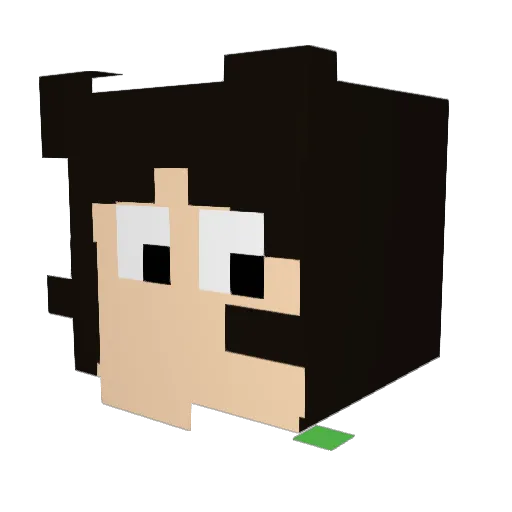 SpaghetIsLife Minecraft avatar head, 3D render