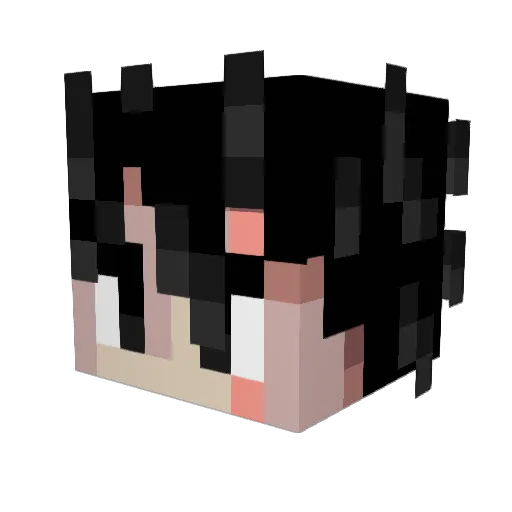Spaghetti82 Minecraft avatar head, 3D render