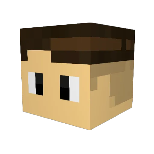 SpaghettiFTW Minecraft avatar head, 3D render
