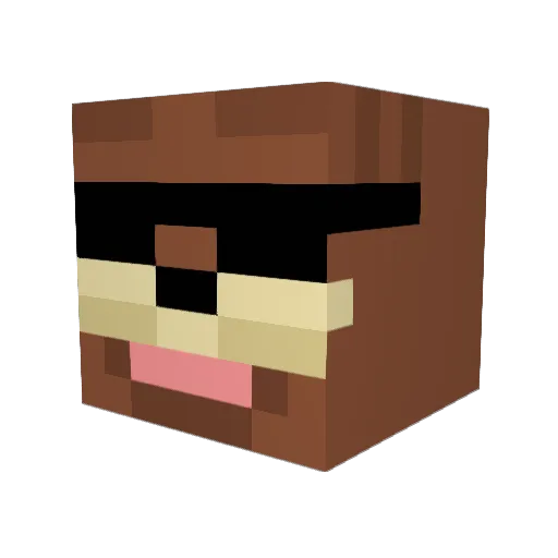 SpaghettiSenpai Minecraft avatar head, 3D render