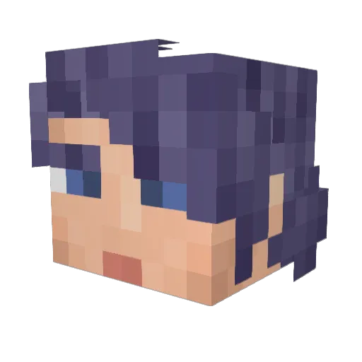 SpaghettiSpine Minecraft avatar head, 3D render