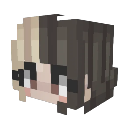 Spaingle Minecraft avatar head, 3D render