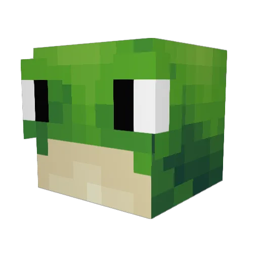 Spam1000 Minecraft avatar head, 3D render