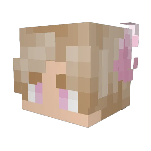 SpamTheWolfPup23 Minecraft avatar head, 3D render