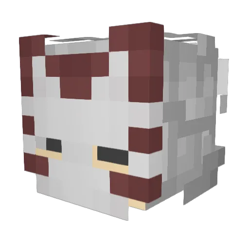 Spam_Click Minecraft avatar head, 3D render