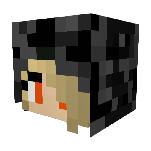 Spammifer Minecraft avatar head, 3D render