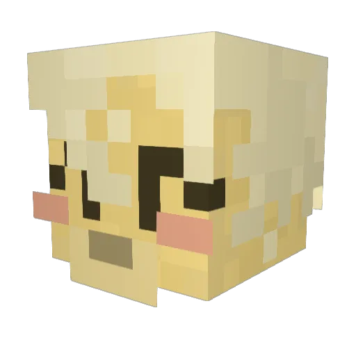 Spamoramma Minecraft avatar head, 3D render