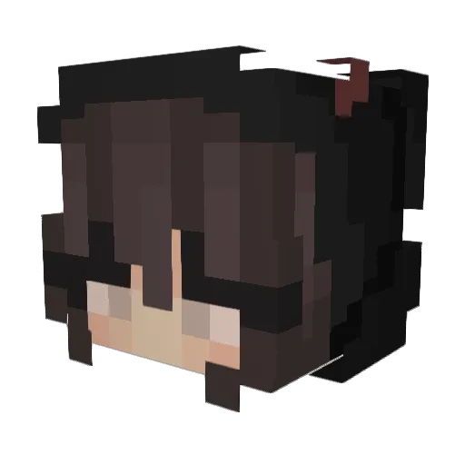 Spampatrol Minecraft avatar head, 3D render