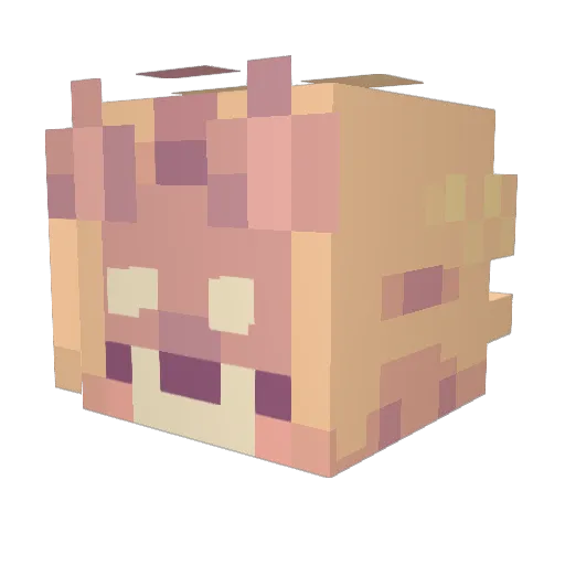 SpanglyPlanet12 Minecraft avatar head, 3D render