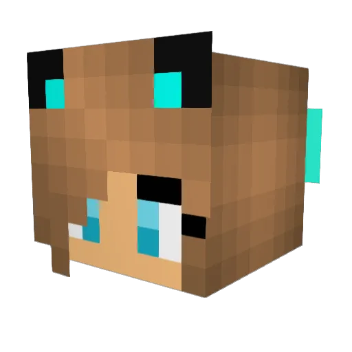 Spanky2006 Minecraft avatar head, 3D render