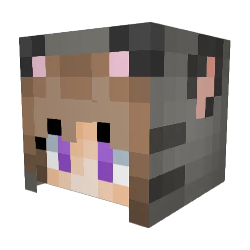 SpankyWillEatYou Minecraft avatar head, 3D render