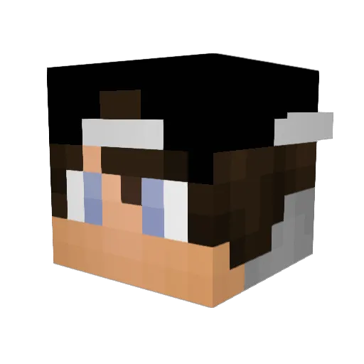 SpareOxygen Minecraft avatar head, 3D render