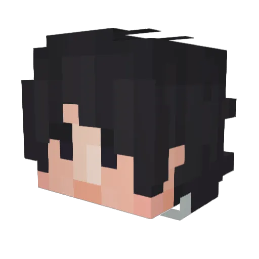 SpareStick Minecraft avatar head, 3D render