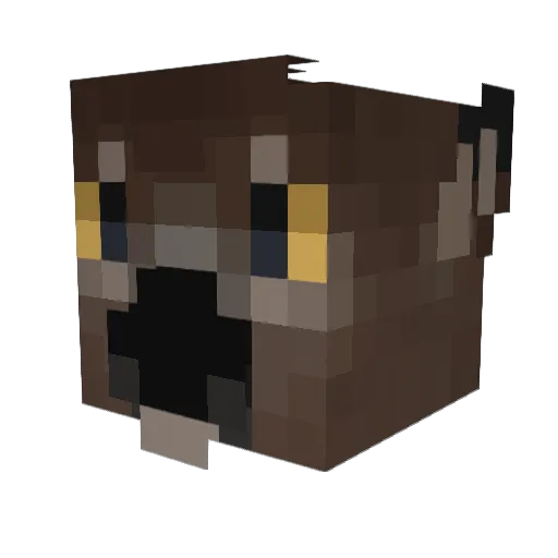 SparerSage75253 Minecraft avatar head, 3D render