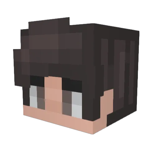 Spargelspitzen Minecraft avatar head, 3D render