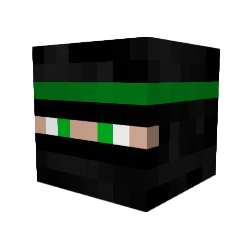 Sparhawke_ Minecraft avatar head, 3D render