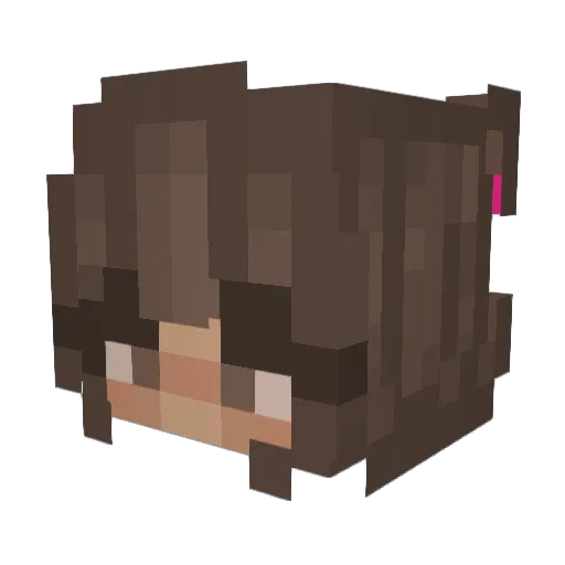 Spark417 Minecraft avatar head, 3D render