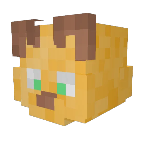 SparkOfLife1 Minecraft avatar head, 3D render