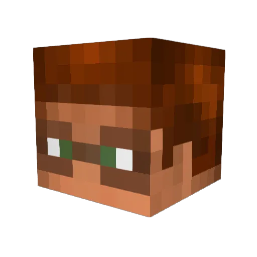 SparkPaladin Minecraft avatar head, 3D render
