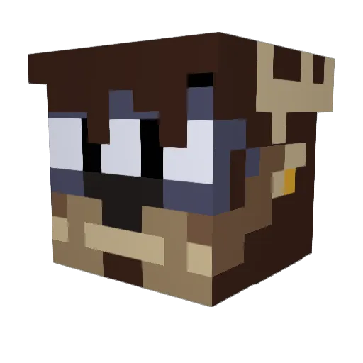 SparkZ172 Minecraft avatar head, 3D render