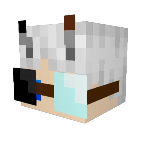 SparkeyFlarkey Minecraft avatar head, 3D render