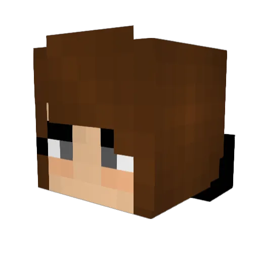 Sparkie11 Minecraft avatar head, 3D render