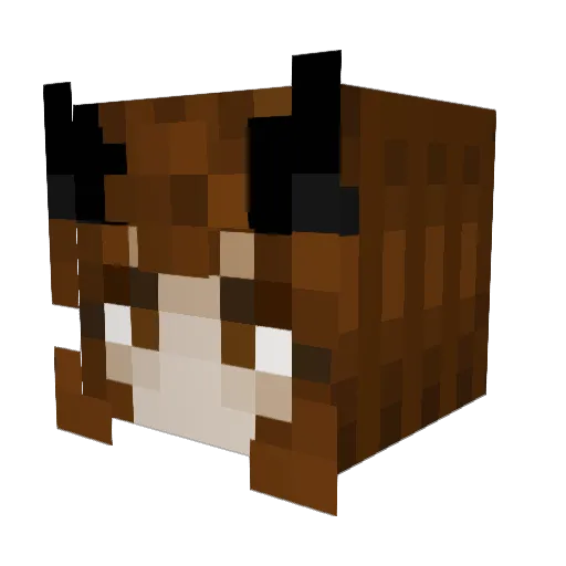 Sparkkat Minecraft avatar head, 3D render