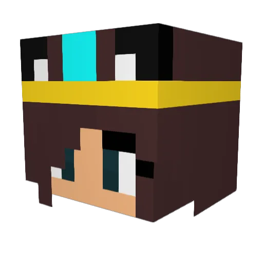 SparkleFox100 Minecraft avatar head, 3D render
