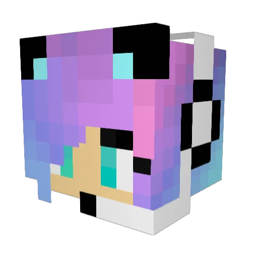 SparkleGirl2114 Minecraft avatar head, 3D render