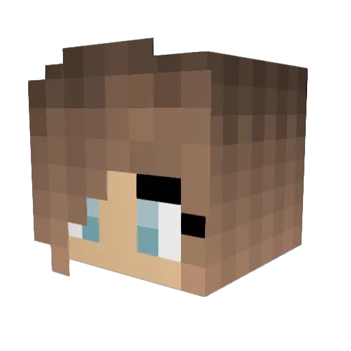SparkleMonkey285 Minecraft avatar head, 3D render