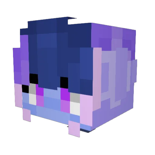 Sparklemoon_ Minecraft avatar head, 3D render